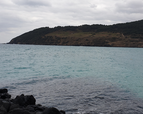 제주도 한달살기 함덕 해수욕장 서우봉