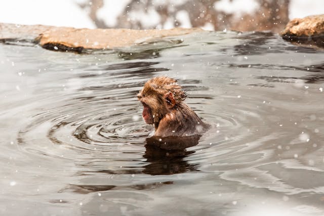 일본 온천 여행 완벽 가이드