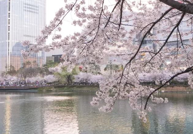 석촌 호수