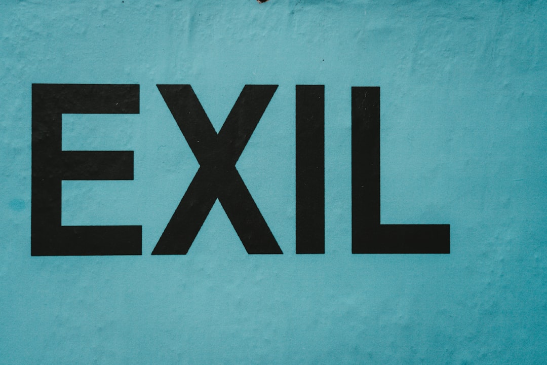 'Excel'
