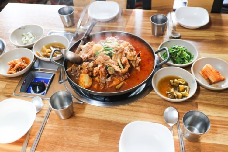 6시내고향 충북 괴산 연풍 고향노포 직접 산에서 채취한 자연산 능이전골 잡버섯전골 토종닭 닭백숙 오리백숙 맛집 추천