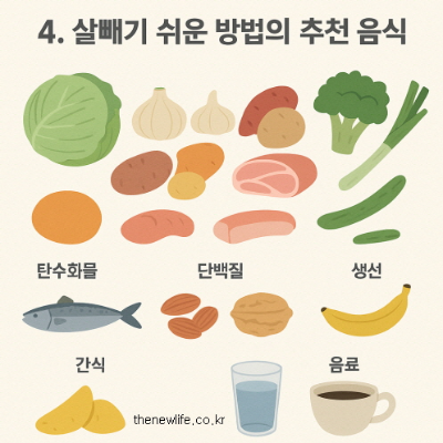 Illustration of healthy foods recommended for easy weight loss, including cabbage, garlic, sweet potato, chicken breast, broccoli, cucumber, banana, fish, nuts, and drinks like water and black coffee. Categorized into carbohydrates, proteins, fish, snacks, and beverages./양배추, 마늘, 고구마, 닭가슴살, 브로콜리, 오이, 바나나, 생선, 견과류, 물, 아메리카노 등 살빼기 쉬운 방법에 적합한 건강한 음식들을 탄수화물, 단백질, 생선, 간식, 음료로 나누어 보여주는 일러스트
