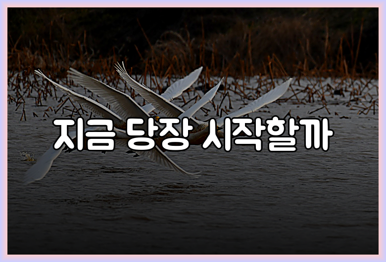 지금 당장 시작할까