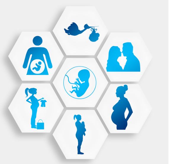 2024년 임신과 출산 지원금