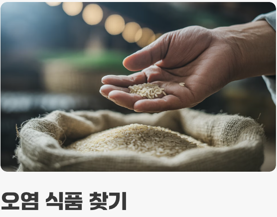 발견 즉시 실행! 완벽 퇴치 3단계