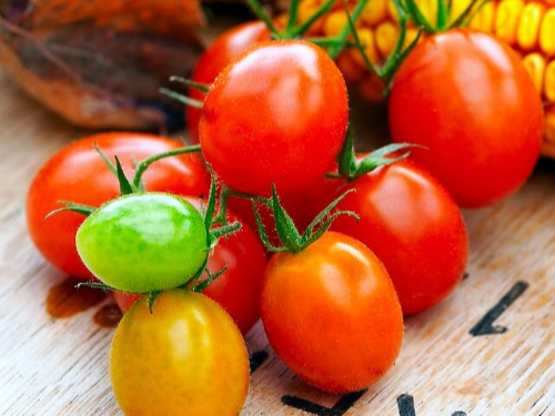토마토 효능 라이코펜 항산화 암예방 노화방지 과일