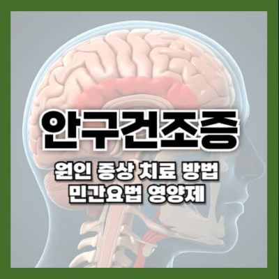 안구건조증
안구건조증 원인
안구건조증 증상
안구건조증 치료 방법
안구건조증 민간요법
인공눈물
안구건조증 영양제
오메가-3 눈 건강
비타민 A 눈 건강
루테인 제아잔틴 안구건조증
눈 건조함 해소 방법
눈 깜빡임 훈련
눈물막 개선
눈 보호 방법
전자기기 사용과 눈 건강
습도 조절과 눈 건강
안구건조증 예방
따뜻한 눈찜질 효과
눈 피로 해소
눈물샘 염증 예방