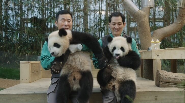 푸바오 영화