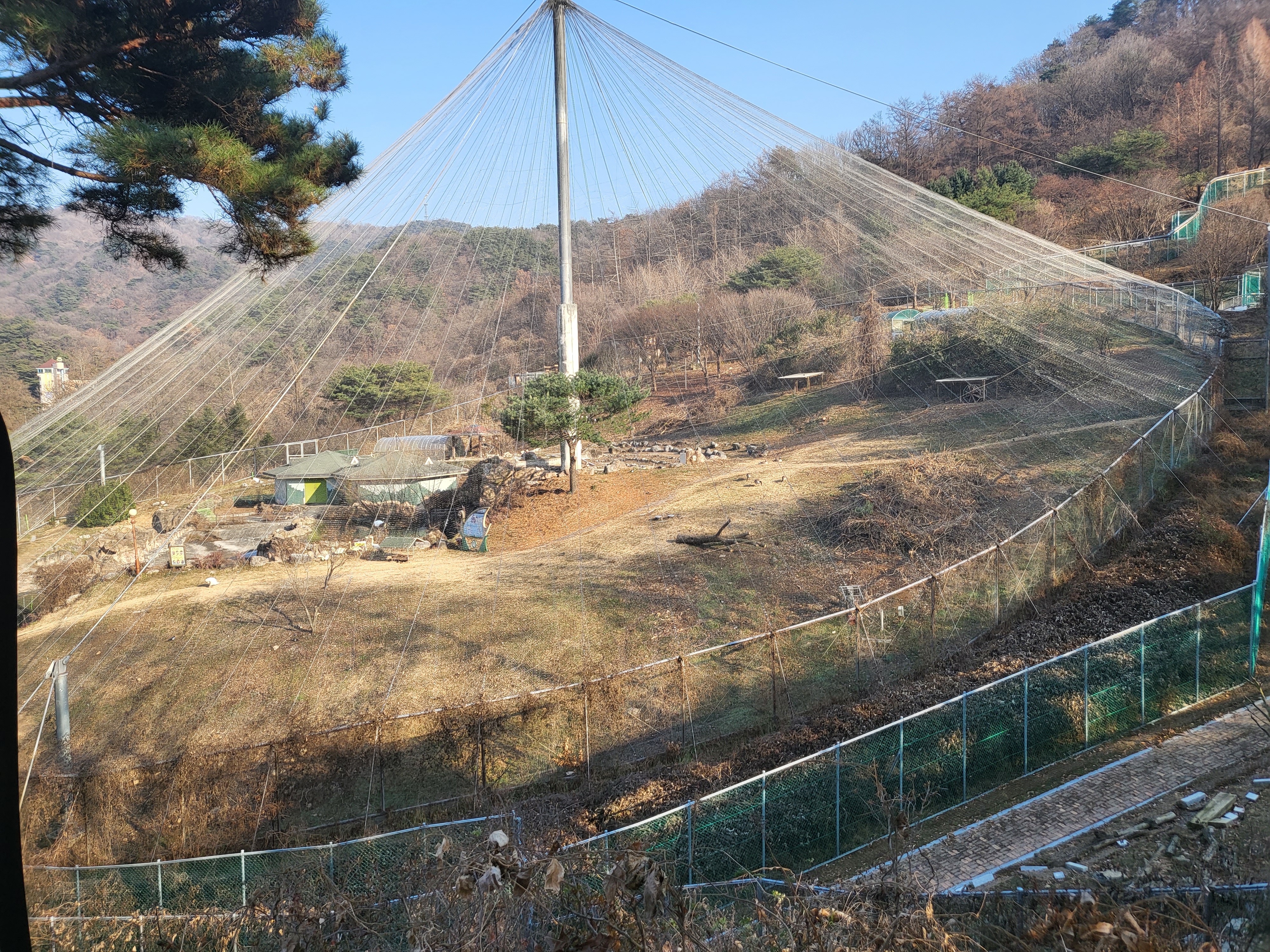 청주 동물원 - 큰 새장