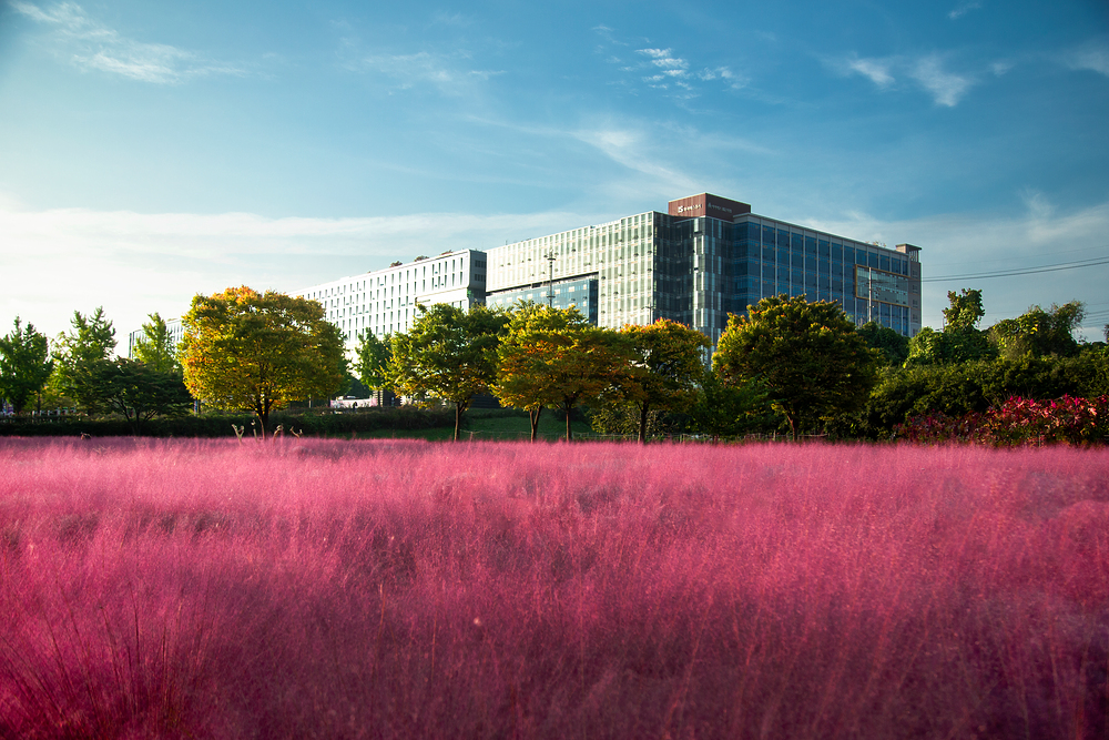 건강친화형 주택은 우리의 건강과 주변 환경을 보호하는 데 이점이 있으며, 이를 통해 더 나은 삶을 살 수 있습니다.
