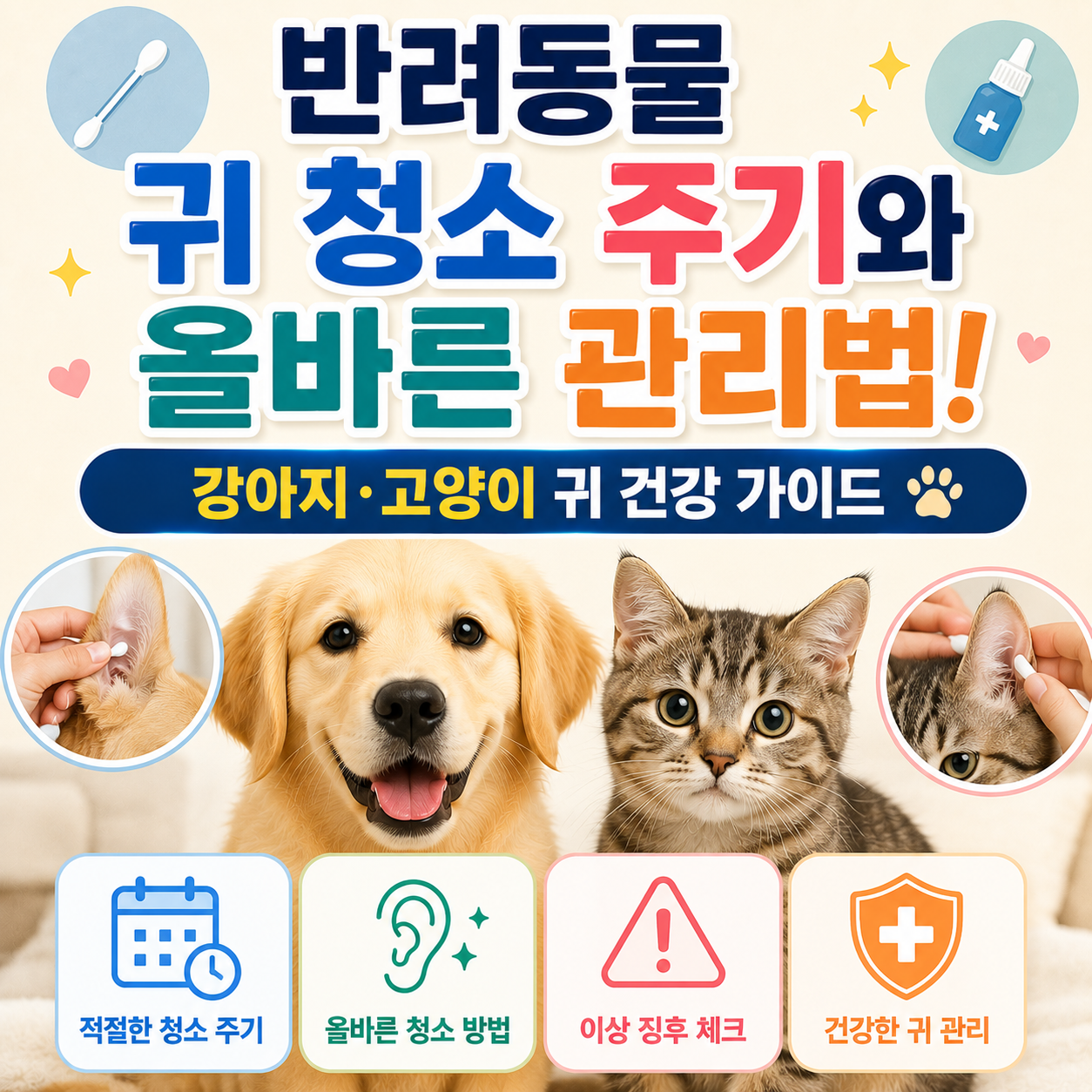 반려동물 귀 청소 주기와 올바른 관리법