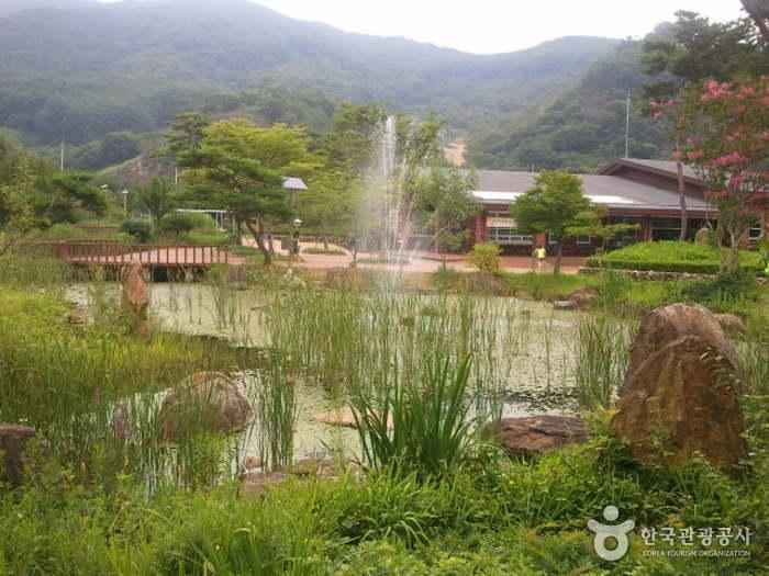 백운산 자연휴양림