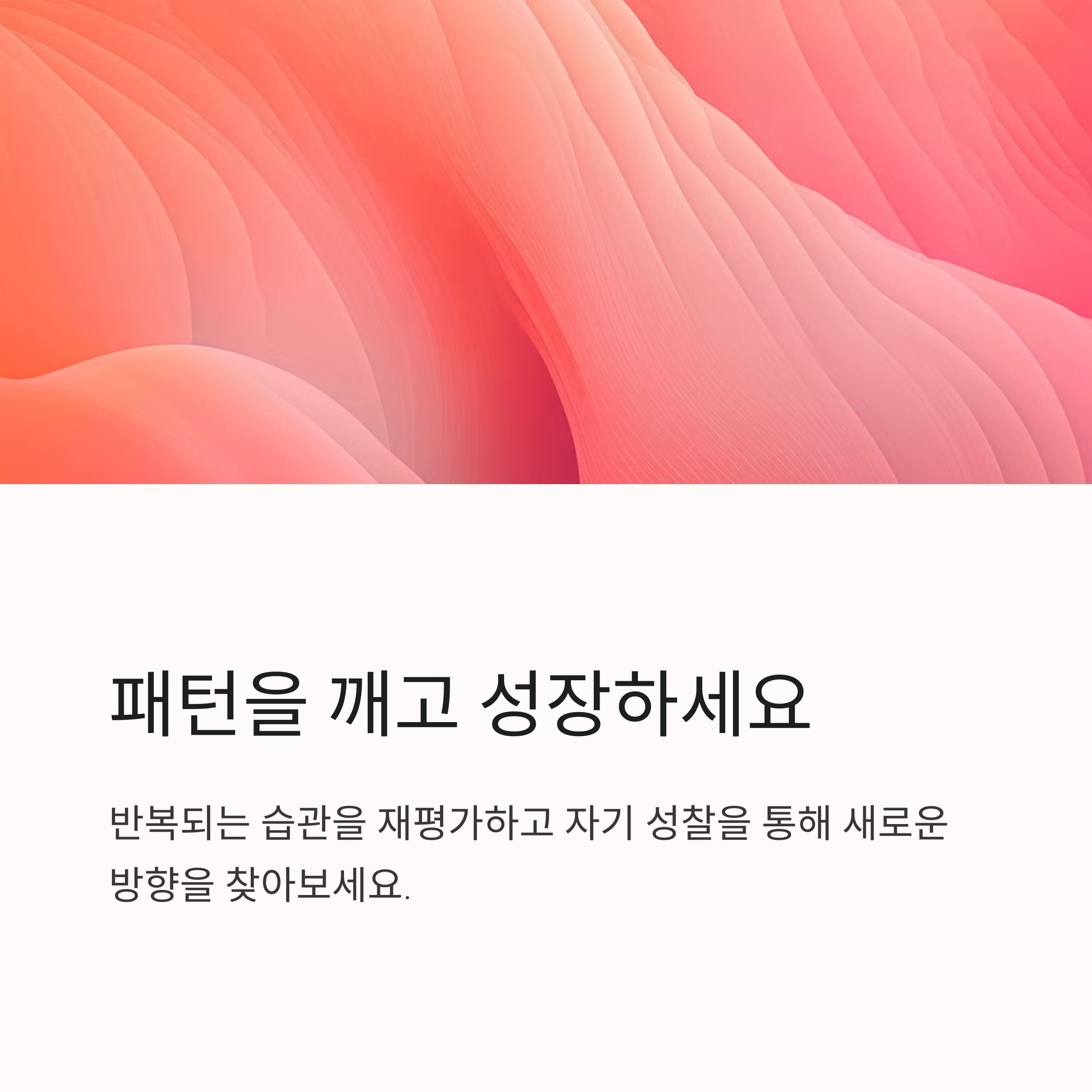 돼지가 꼬리를 무는 꿈