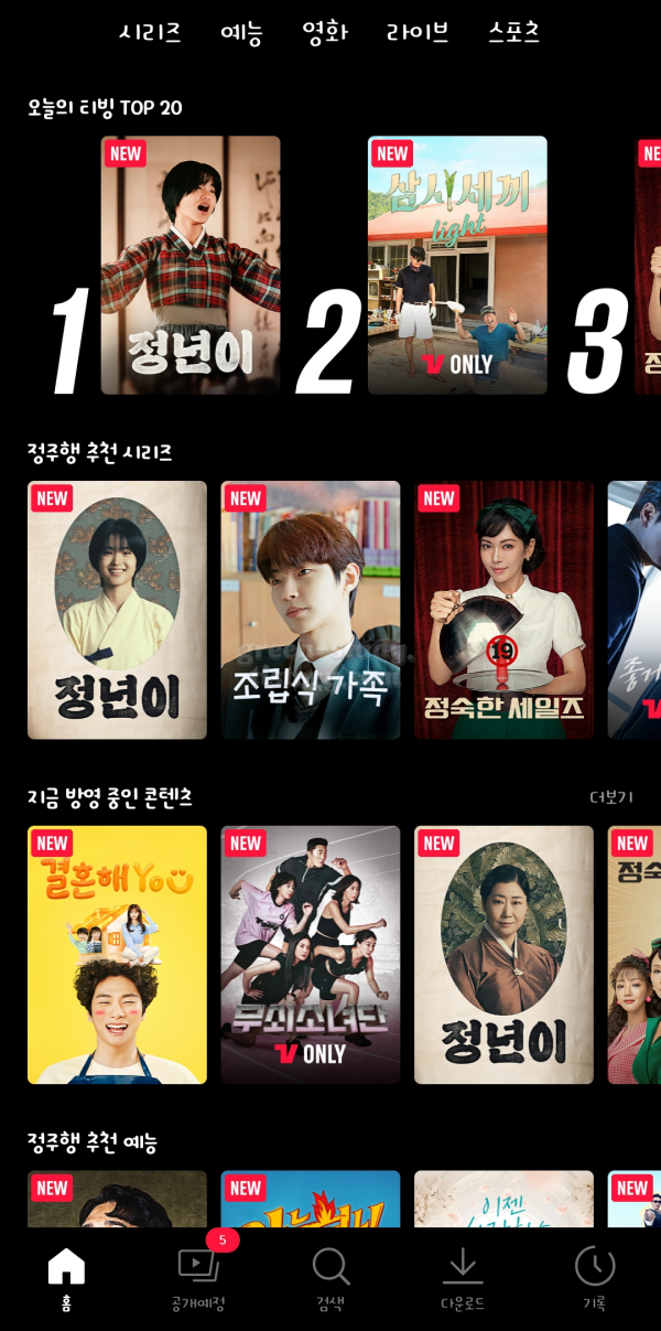 cat폰트구입 후기_22.webp