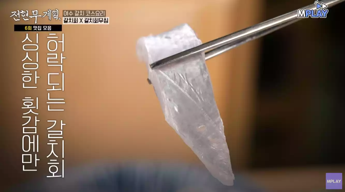 갈치회