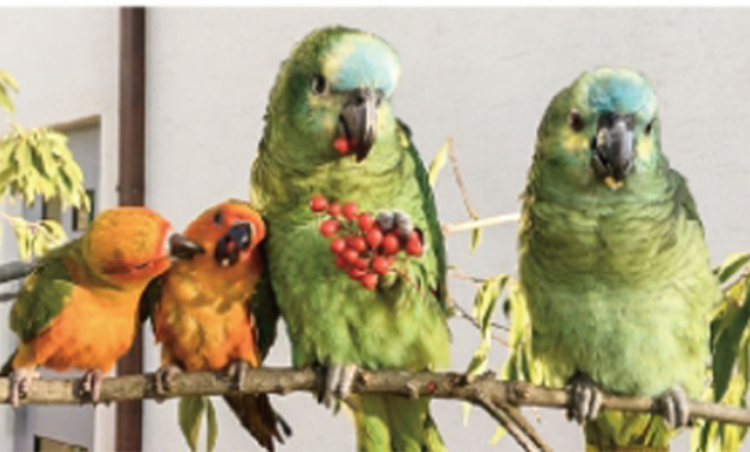 담양 곤충박물관