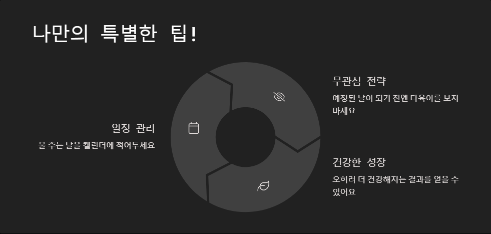 다육이 병충해 예방과 대처법