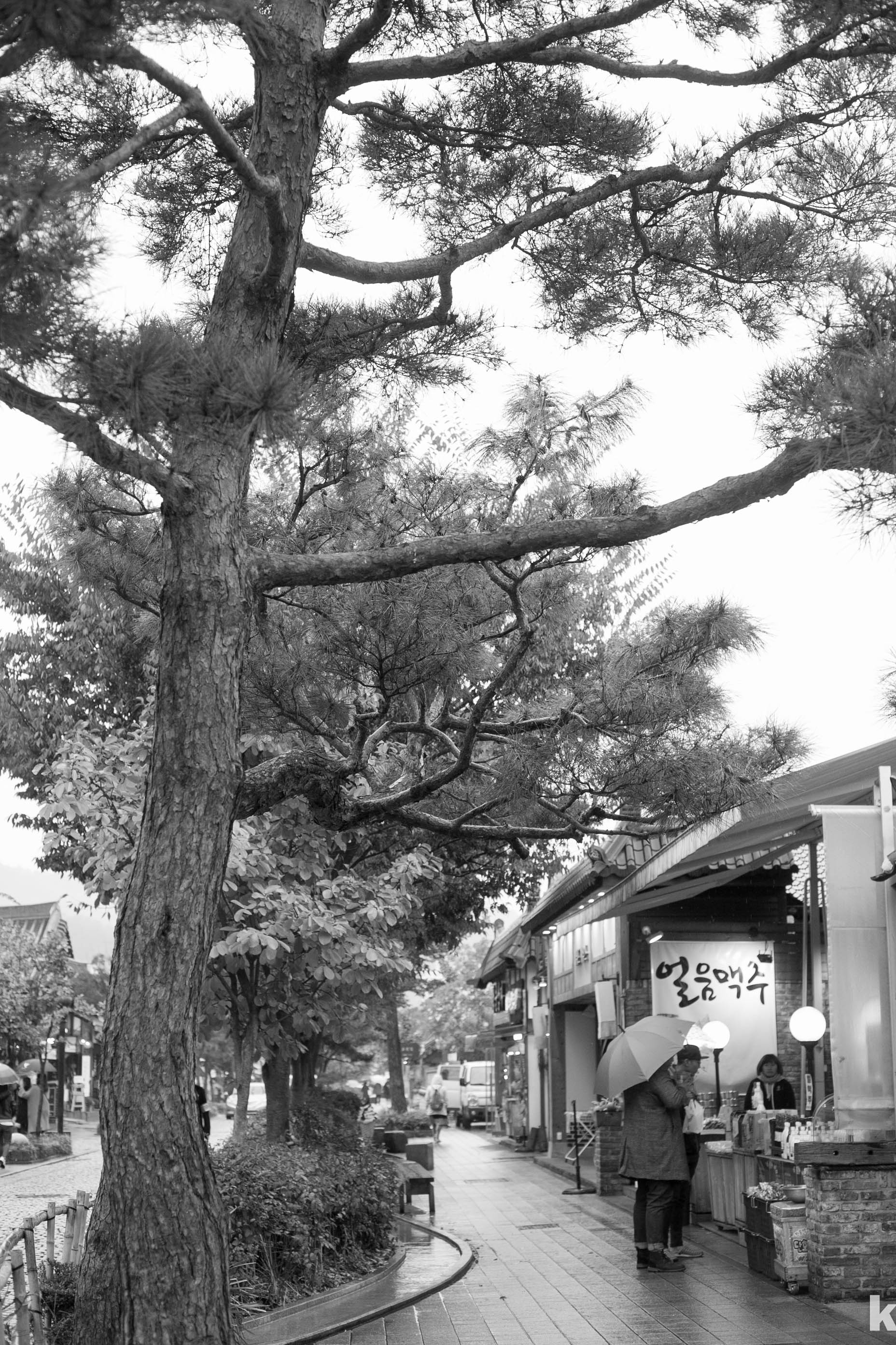 캐논 카메라의 풍경 사진 촬영 장점