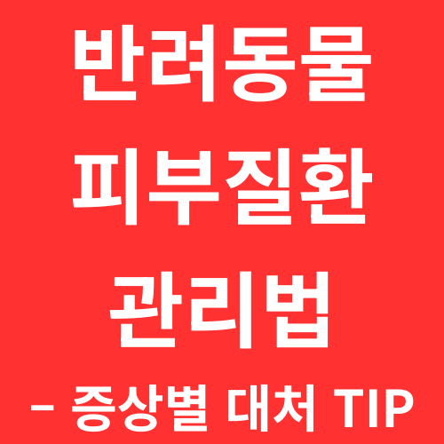 반려동물 피부질환 관리법 &ndash; 증상별 대처 TIP