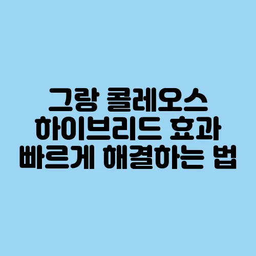 그랑 콜레오스 하이브리드 효과 빠르게 해결하는 법