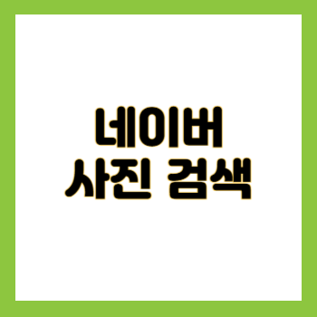 네이버 사진 검색