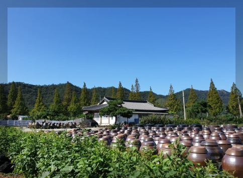 한국기행 해남두부장 이승희 명인 택배 주문방법