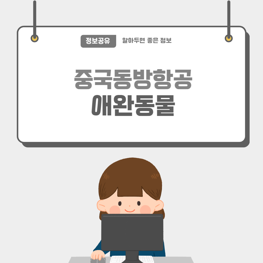 중국동방항공-썸네일