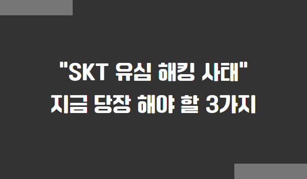 SKT 유심 해킹 사태, 우리가 지금 당장 조치 해야 할 3가지