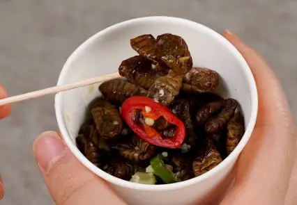 번데기-길거리음식