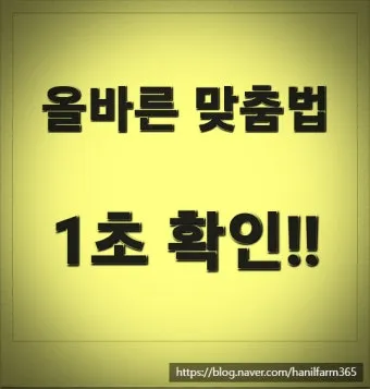 보내 보네 헷갈리는 맞춤법 올바른 표기 완벽 정리_7