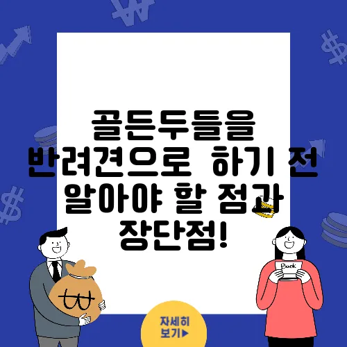 골든두들을 반려견으로迎하기 전 알아야 할 점과 장단점!