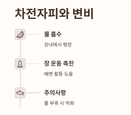 차전자피와 변비
