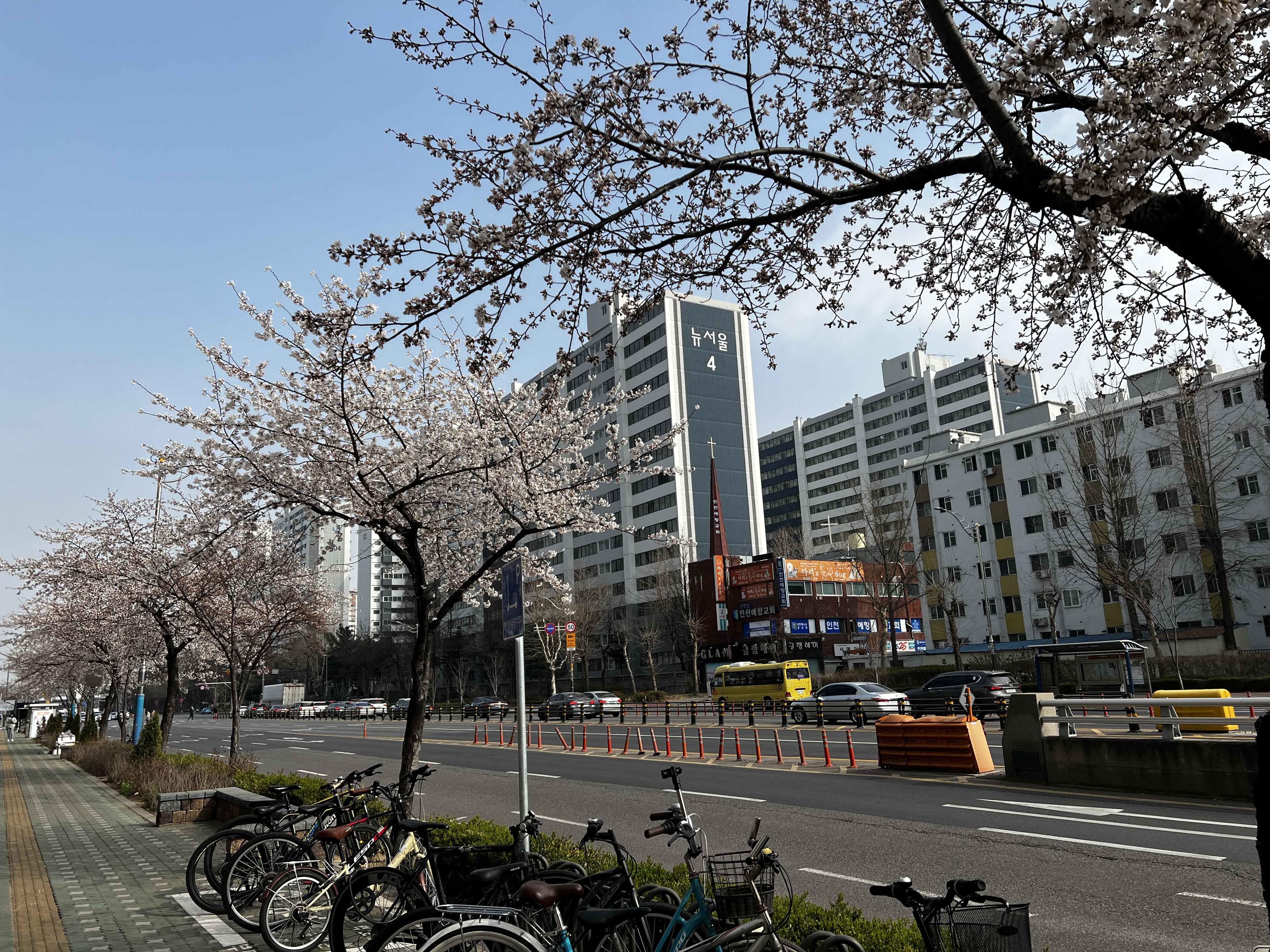 벚꽃이 피는 계절