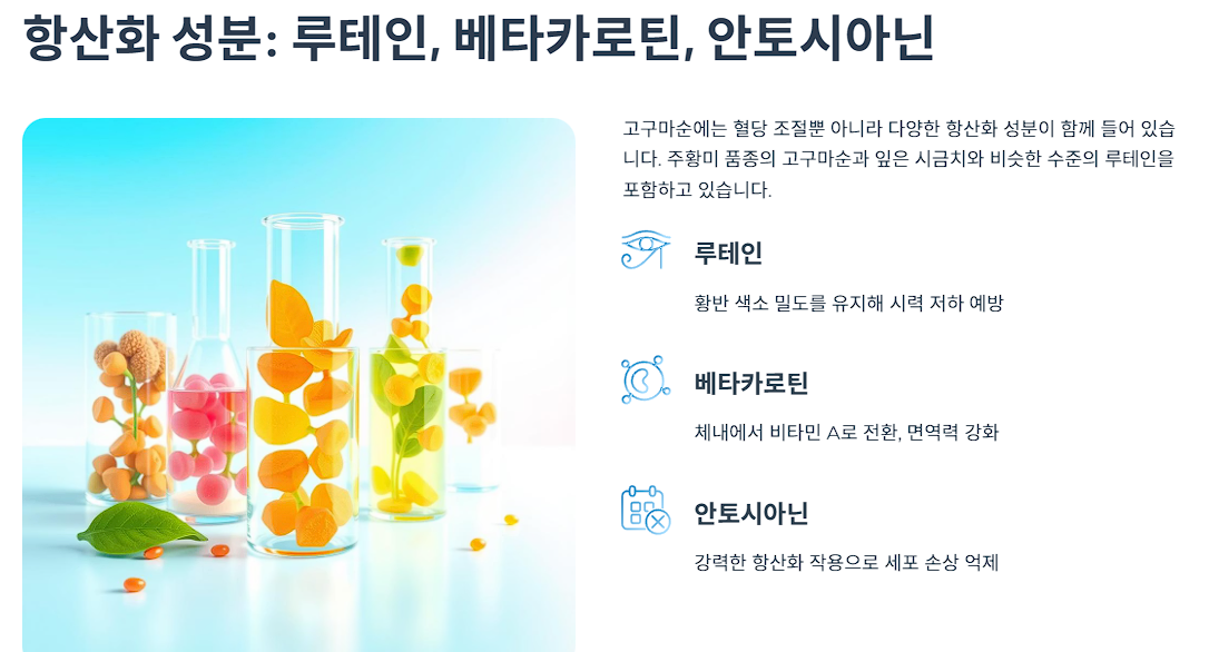 항산화 성분: 루테인, 베타카로틴, 안토시아닌