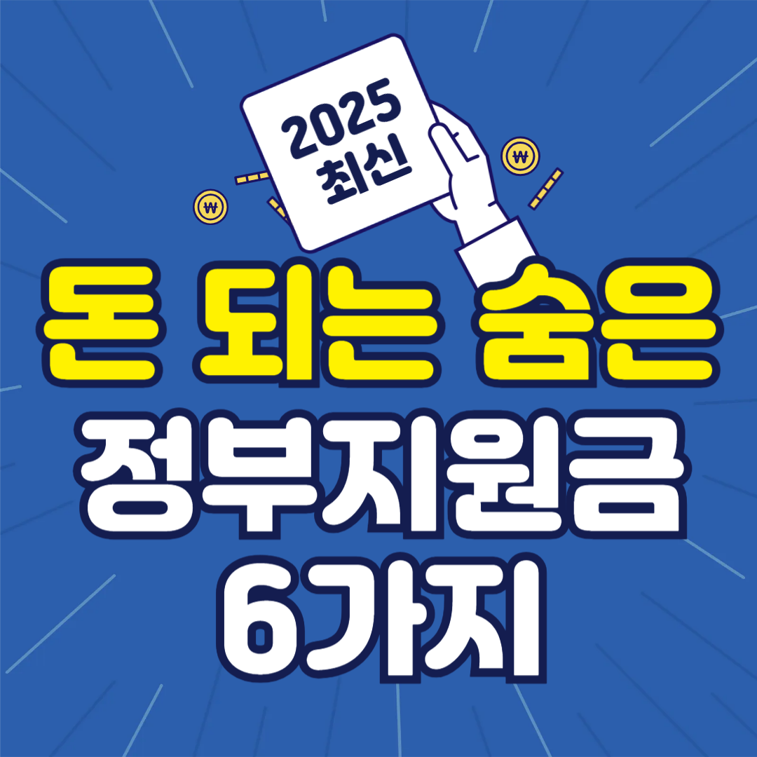 정부지원금