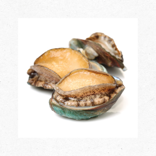 전복 이빨 제거