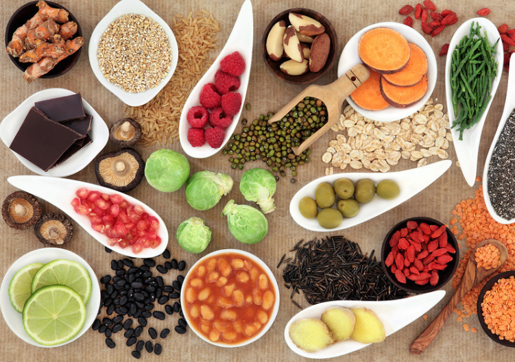 하버드 의대 건강 식단 보고서