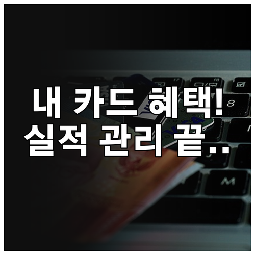 내 카드 혜택 실시간 확인과 실적 관..