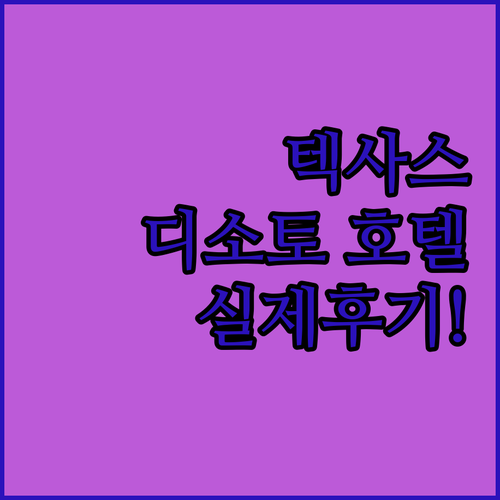미국 텍사스 디소토 여행 추천 호텔 ..
