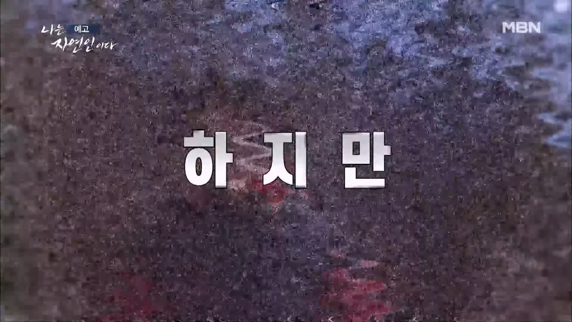 나는 자연인이다 꿈꾸는 산과 나 패션 디자이너 출신 자연인 정순열 소개 및 이승윤 출연 534회 다시보기