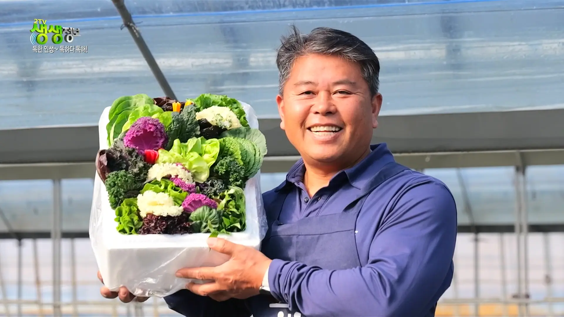 양주농부 이범석 쌈채소 주문하는곳 온라인 주문