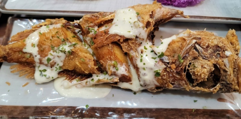 속초 대포항 대게 맛집 대포항 명가횟집