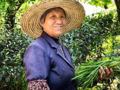 농업인 경영체등록
