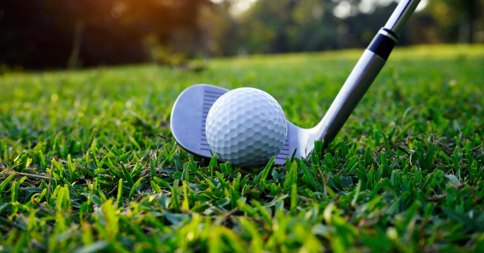 골프 라운딩 뜻: 단순한 연습이 아닌 '실전' 플레이