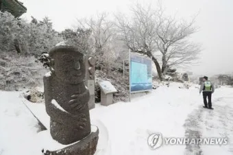 강풍 예비특보 낙과 낙하물 창문 고정 집안 대비법_18