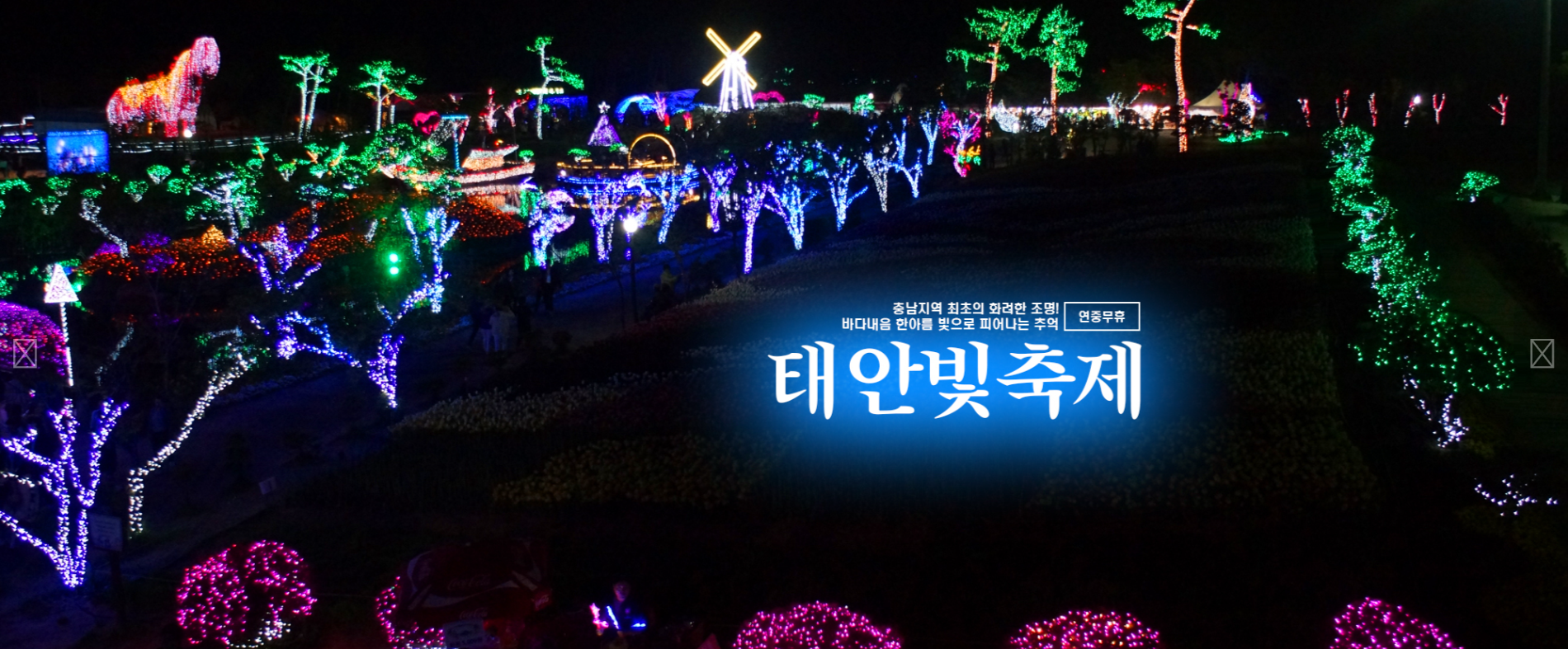 태안 빛의축제 관련 사진