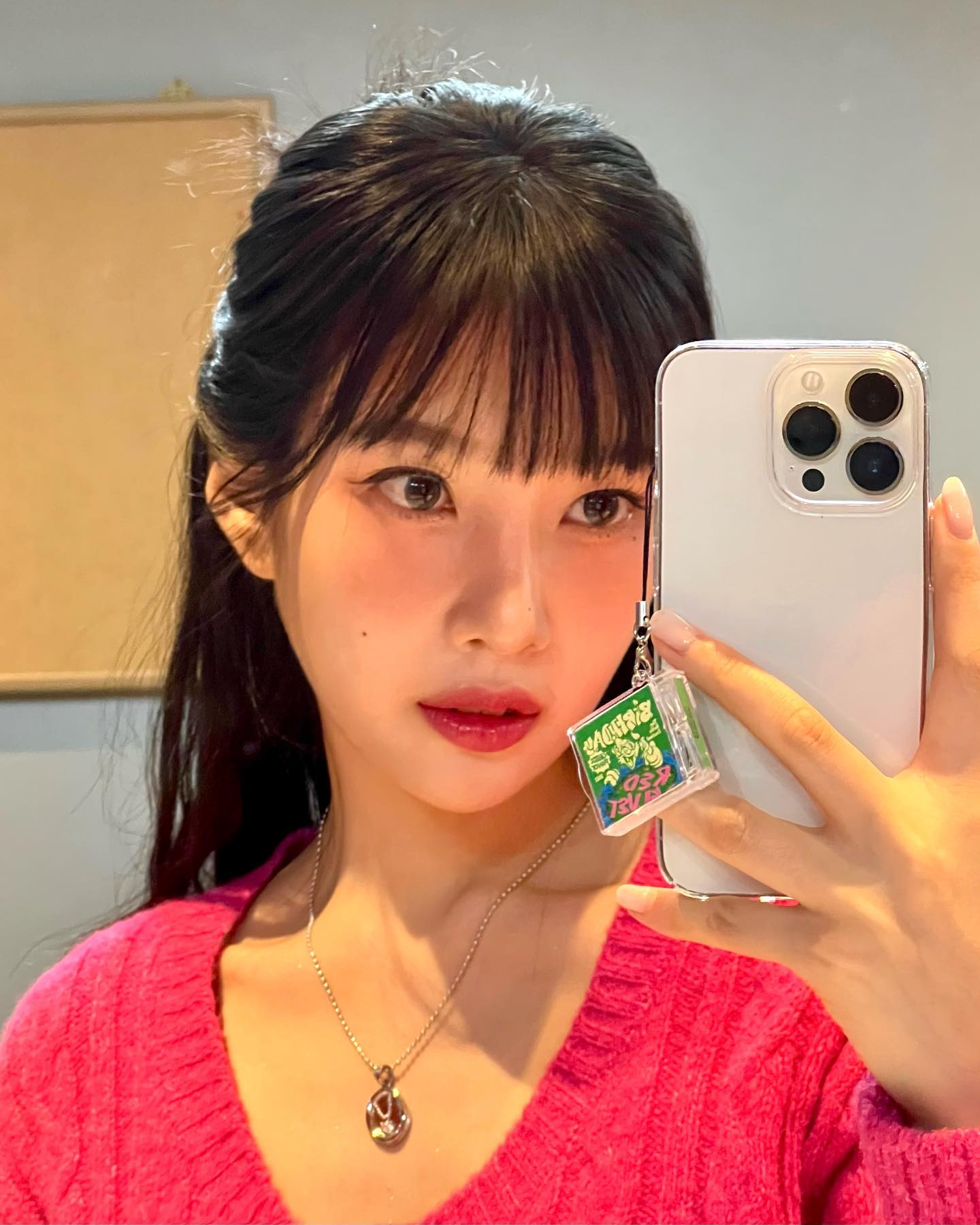 레드벨벳 멤버 조이