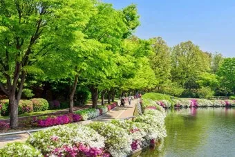 경기도 봄 여행지 추천 10곳 완벽 코스 가이드북_18