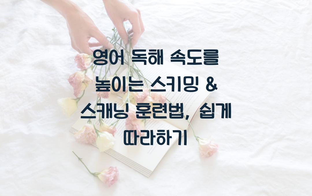 영어 독해 속도를 높이는 스키밍 & 스캐닝 훈련법