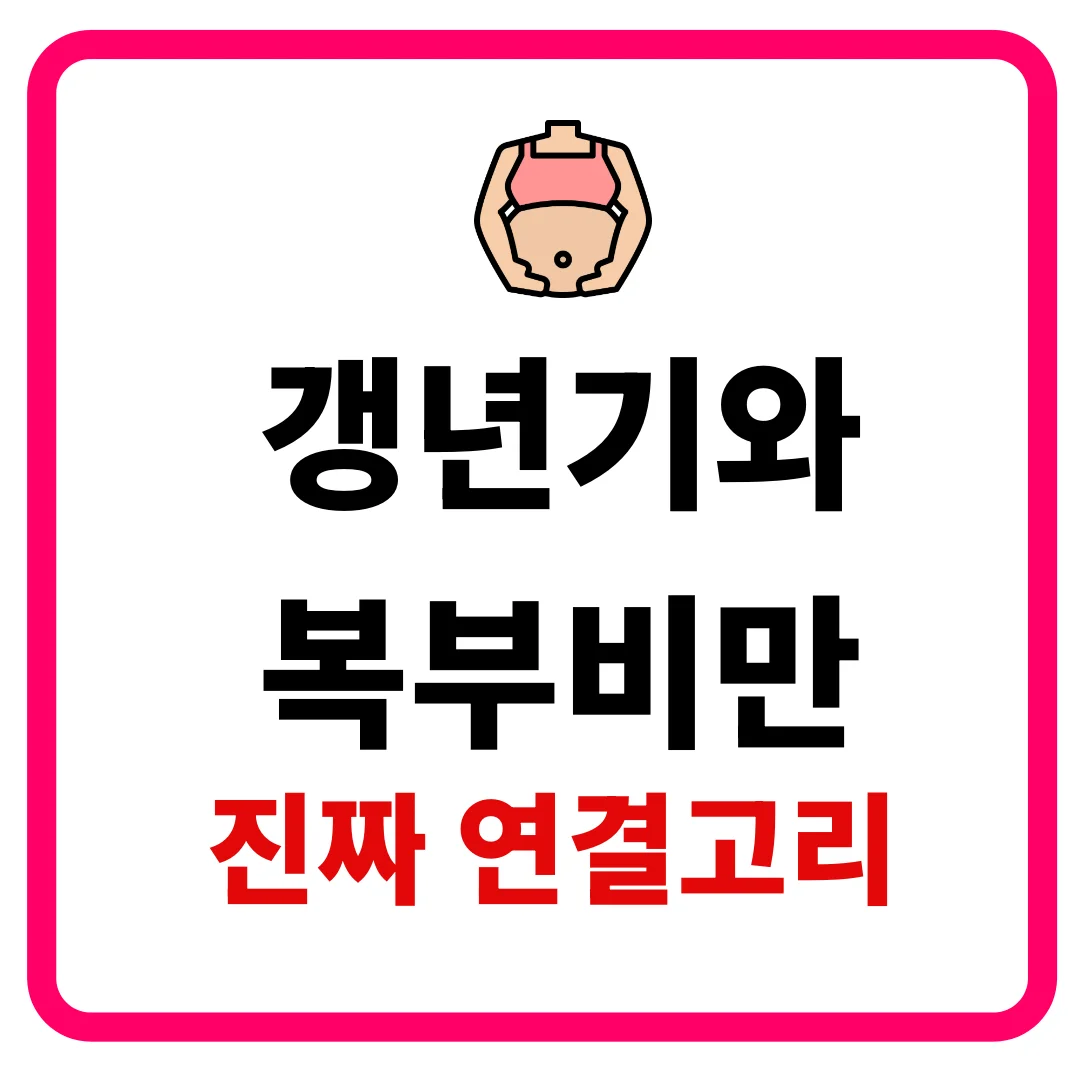 호르몬 변화부터 복부비만까지 2026 완전 정리